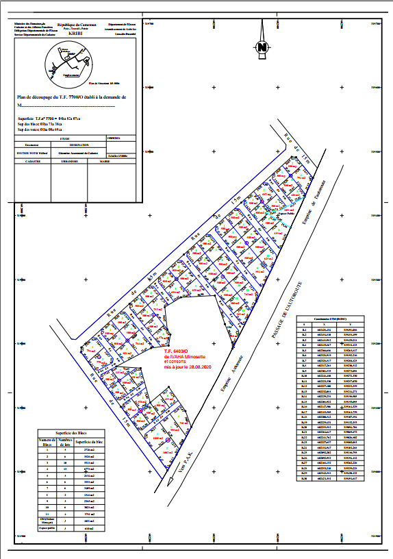 Aperçu du plan PDF - Lotissement Kribi Bwambè