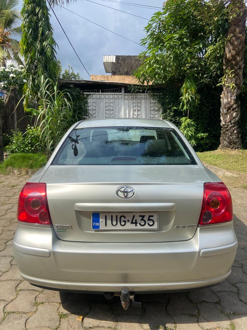 Tête de cochon vue avant