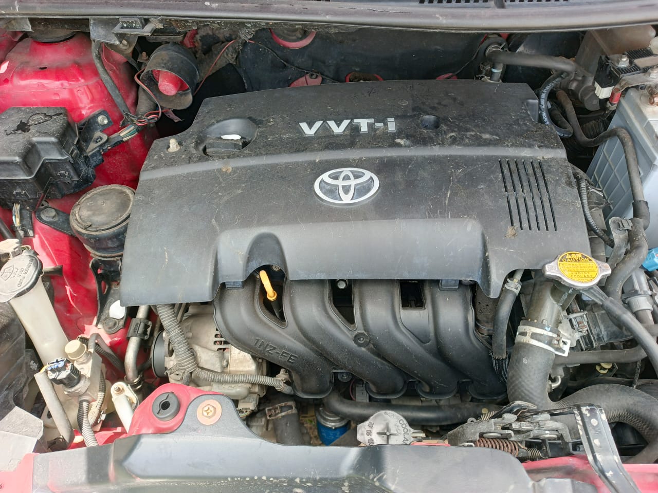 Yaris Ractis feux arrière